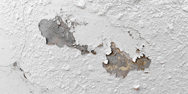 Pintar Fachadas de Naves Industriales, Fábricas y Almacenes Santiago del Teide · Pintura Antihumedad / Antimoho para Humedades / Moho