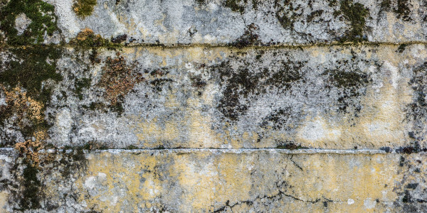 Pintar Fachadas y Patios de Luces de Comunidades Vecinos / Propietarios Los Llanos de Aridane · Impermeabilización de Filtraciones de Agua y Humedad